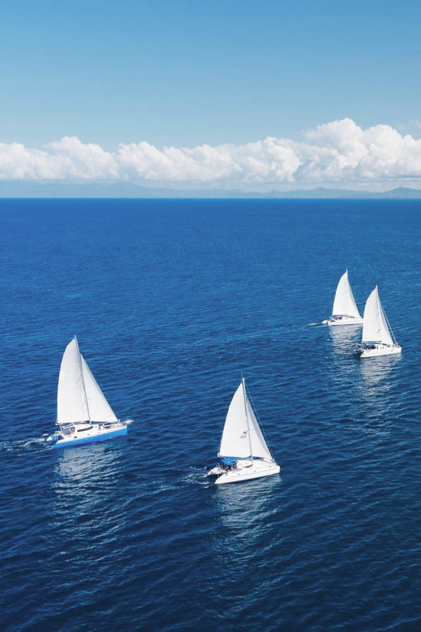 Regatta sailboat and catamaran in Mozambique Channel