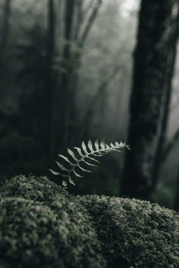 Friday Inspiration 172 - 67