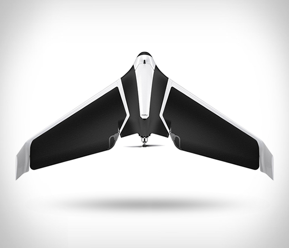 parrot-disco-3