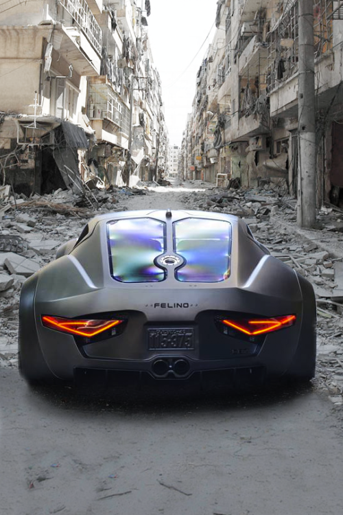 felino