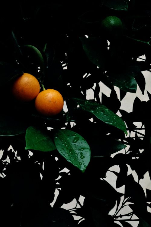friday-inspiration-189-64