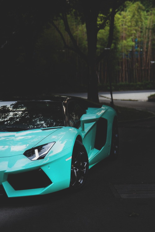 lamborghini-aventador-roadster