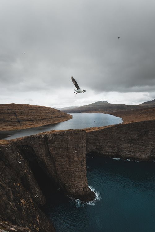 friday-inspiration-190-45