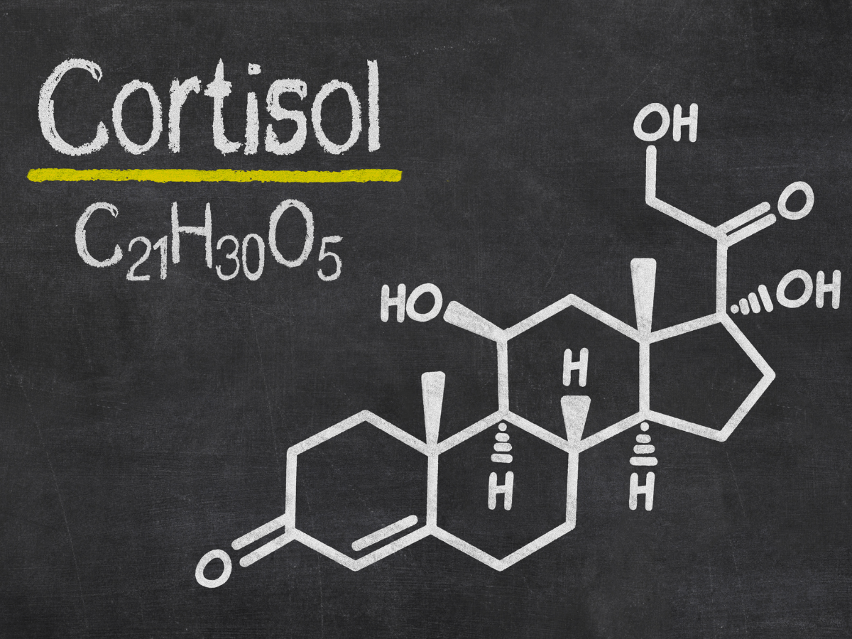 Cortisol