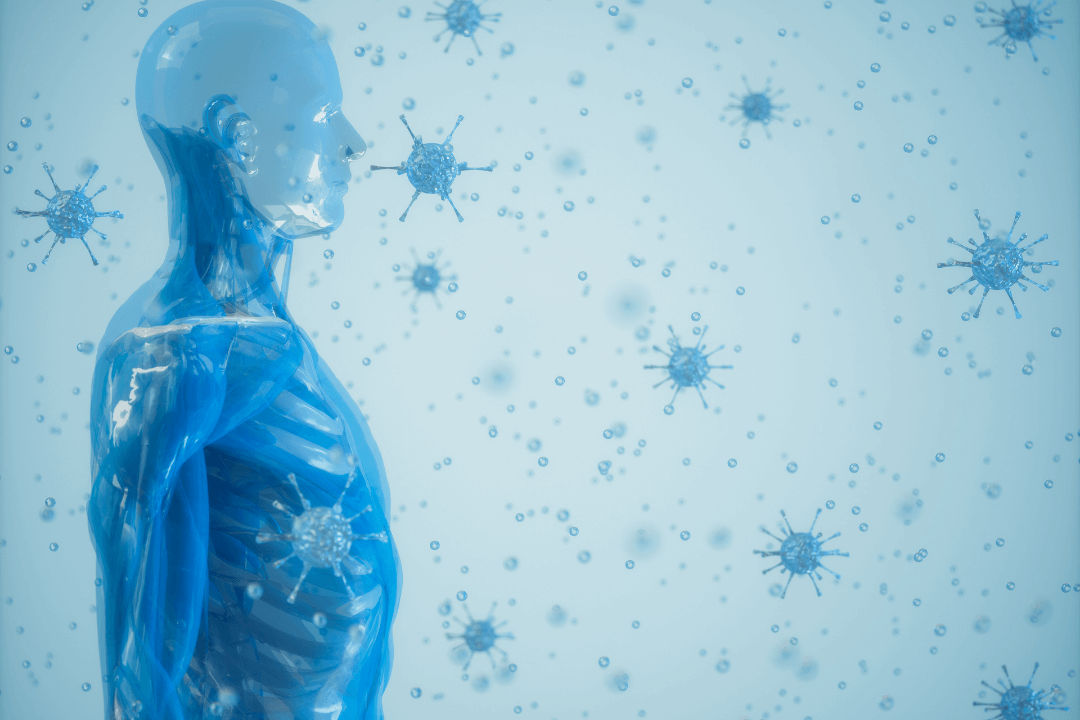 Immune System Activity 