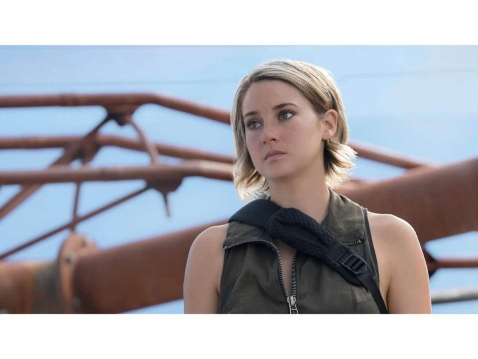 Shailene Woodley Net Worth