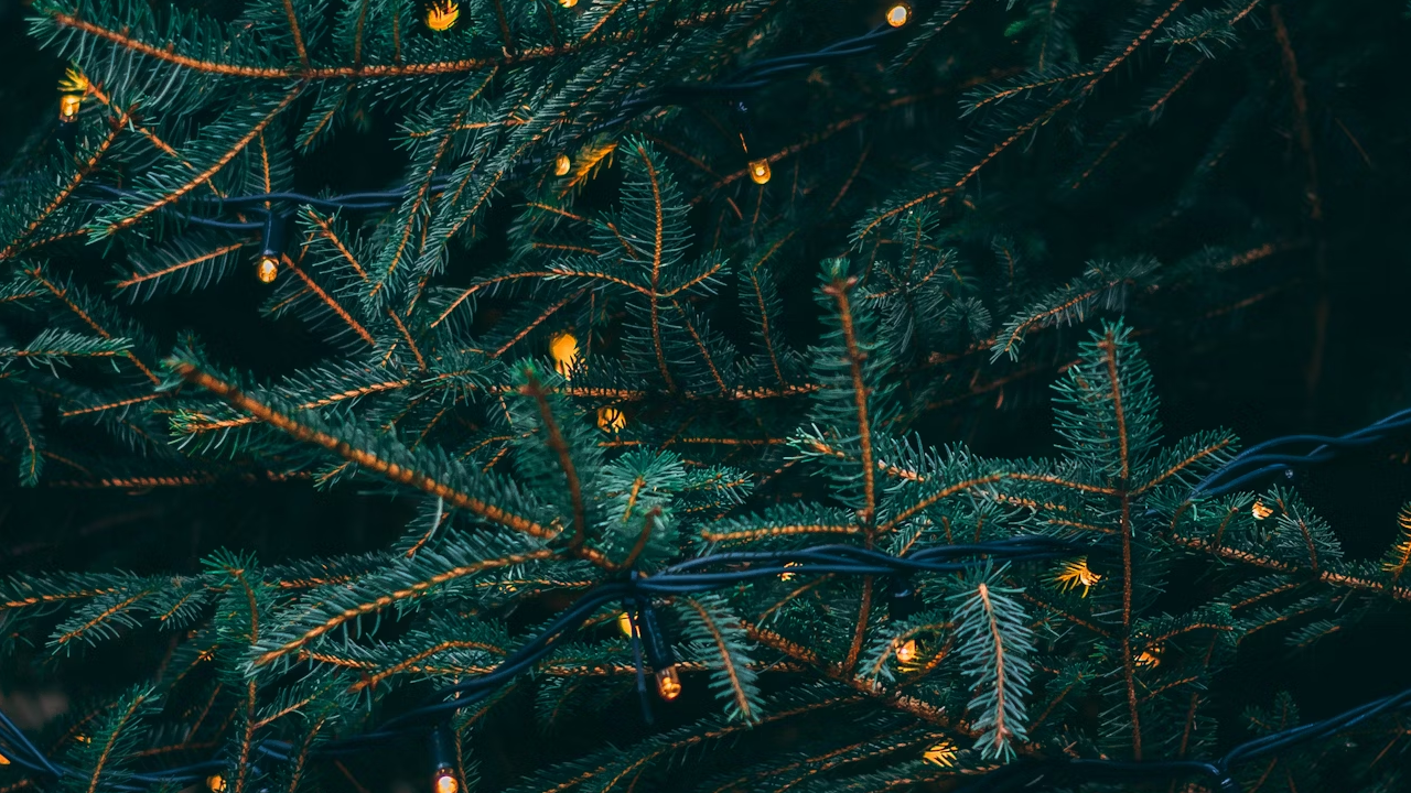 2. Aesthetic Appeal: Natural vs. Artificial Christmas Trees